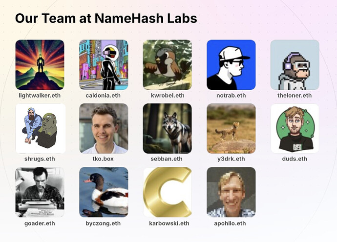 Our Team